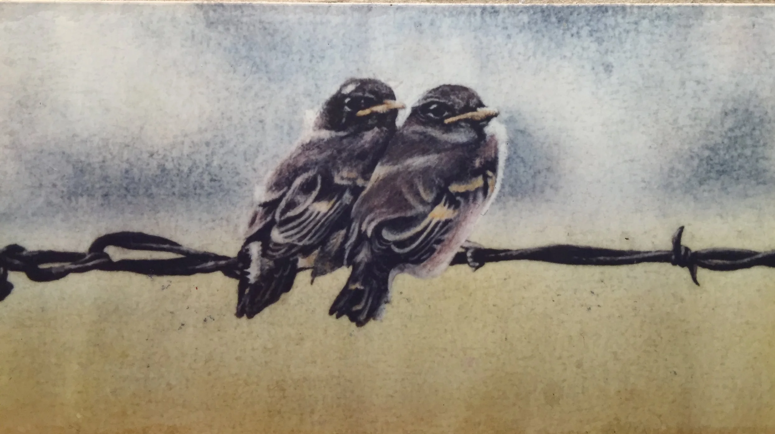 TWO BIRDS ON A WIRE    1986