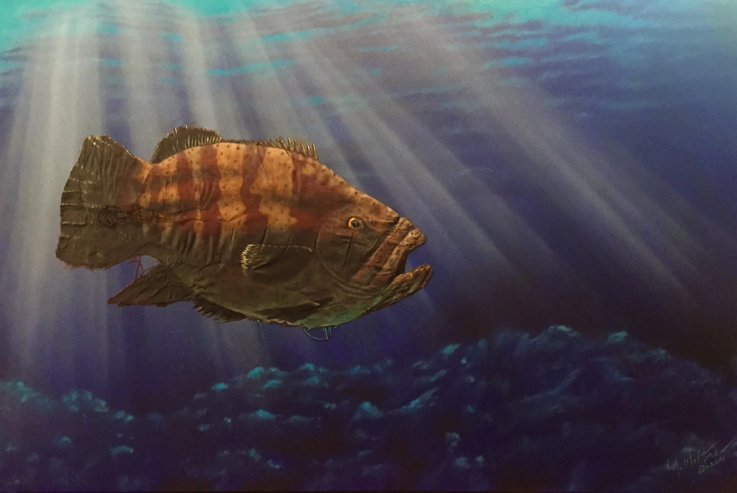 GROUPER 03/02/16