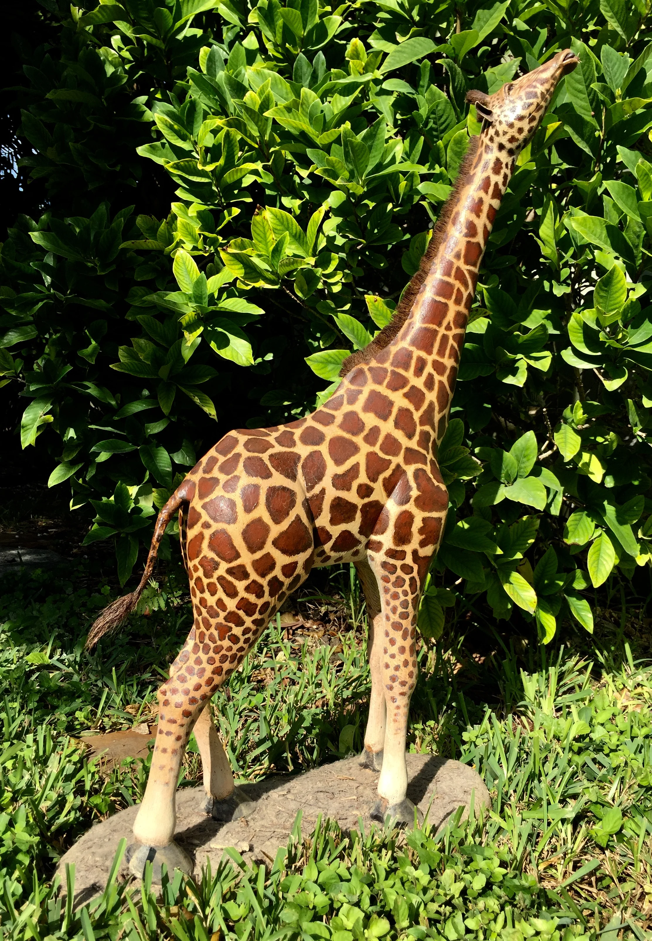 GIRAFFE 1982