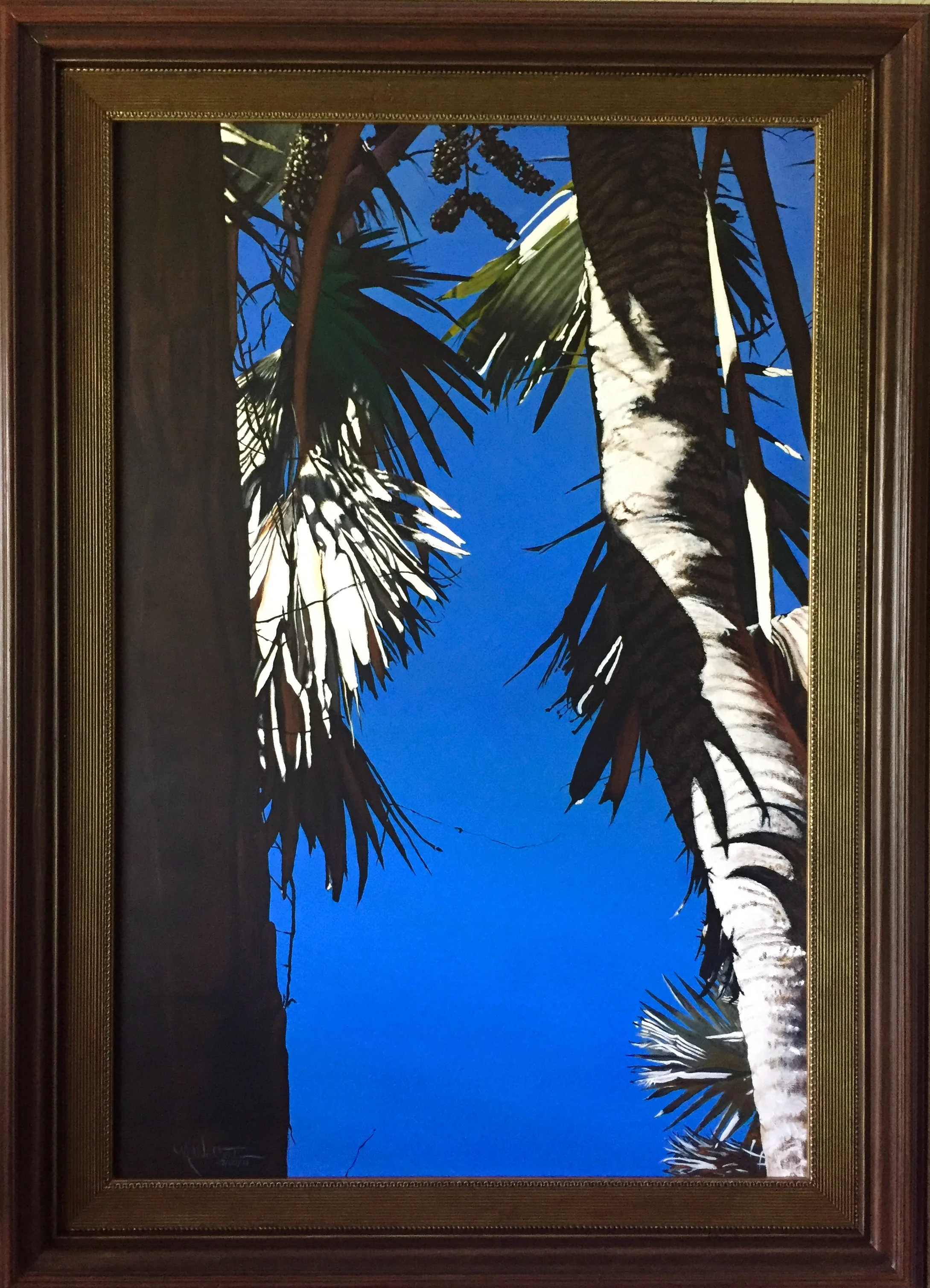 BISMARCK PALM (Study) 03/05/15