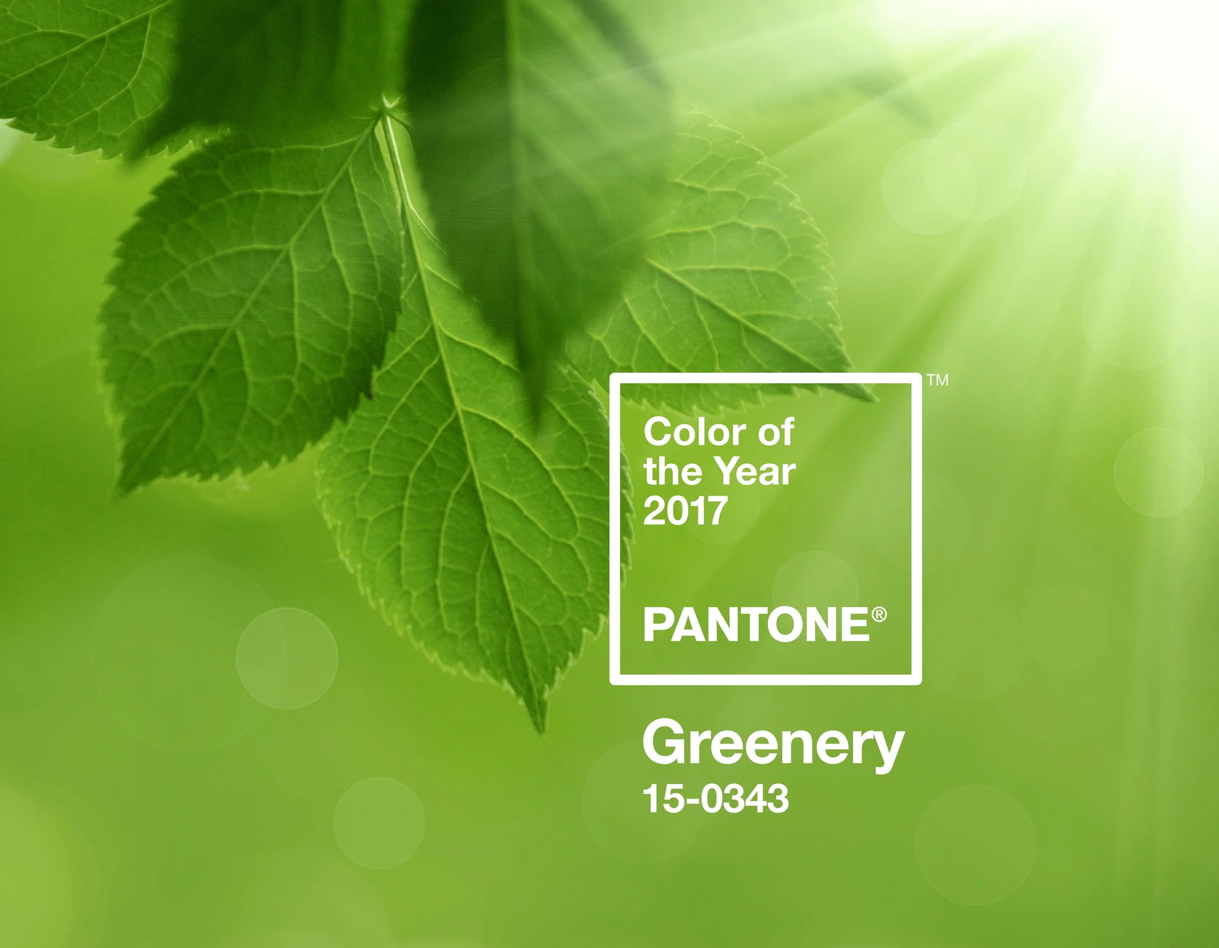 Greenery.jpg