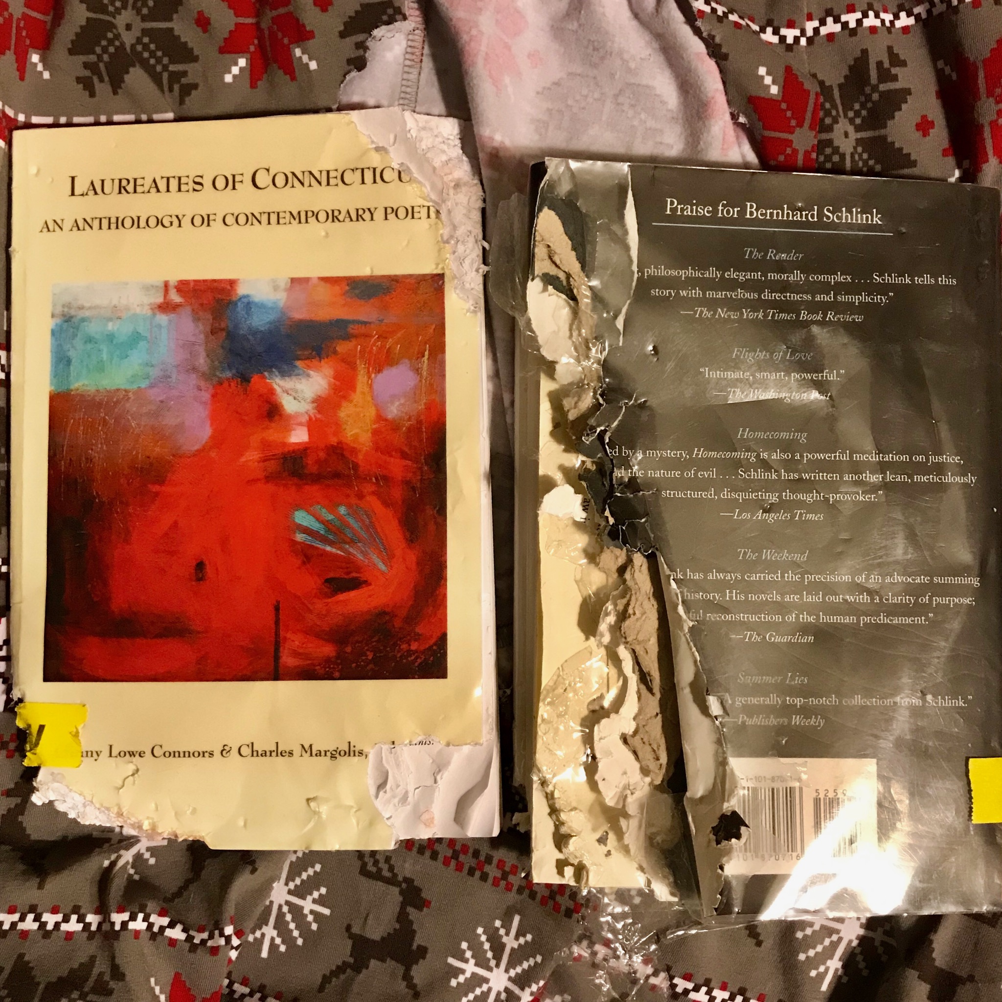 Chris's dog, Buddy, ate two of her library books!