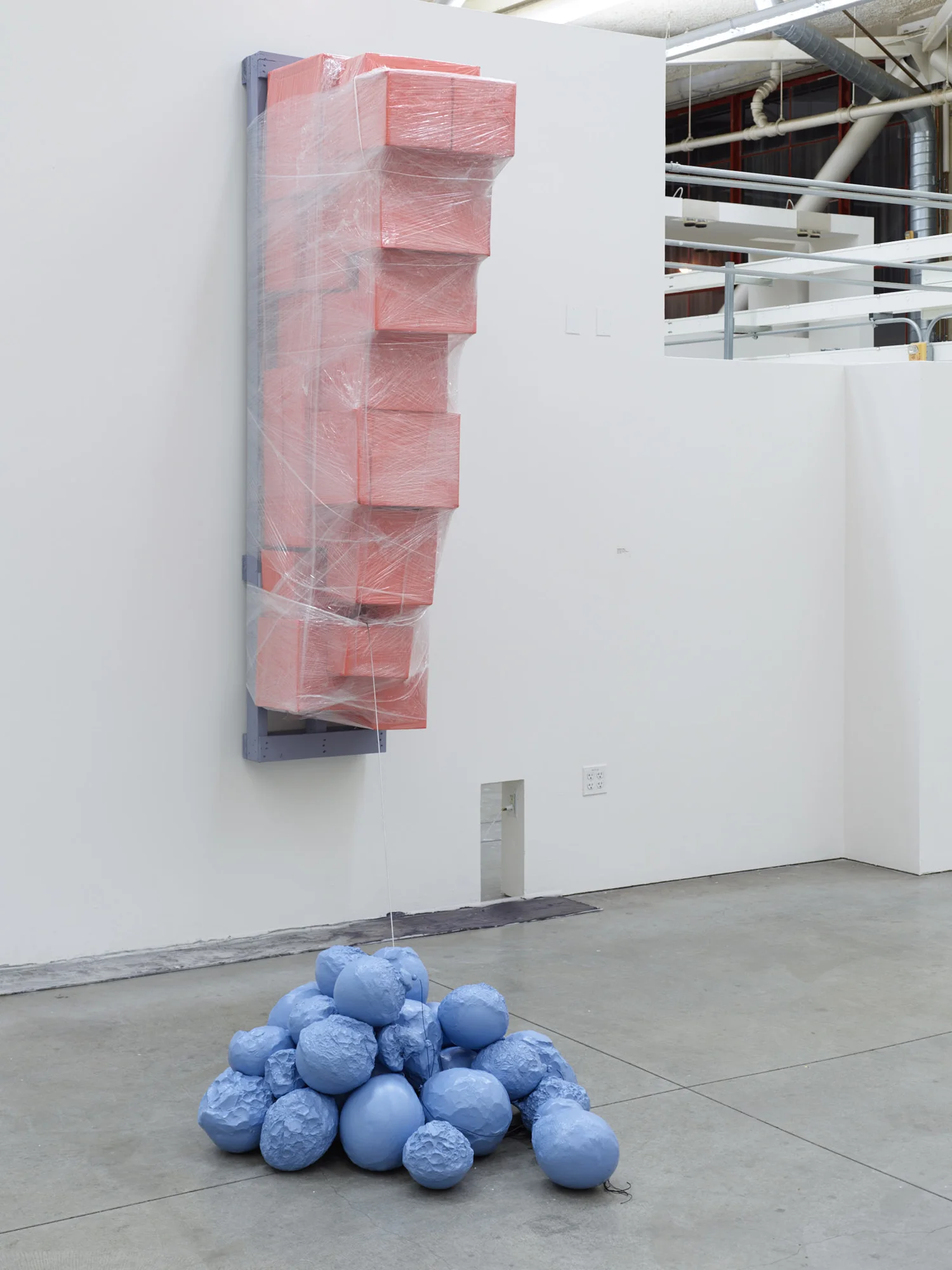cast too wide a net | Benjamin Cirgin | 2016