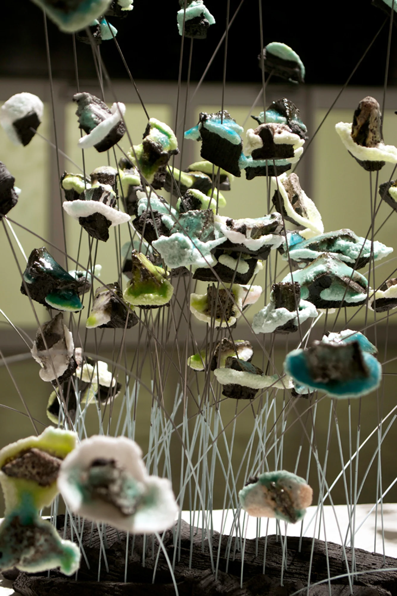 can't see the forest | benjamin cirgin | 2012
