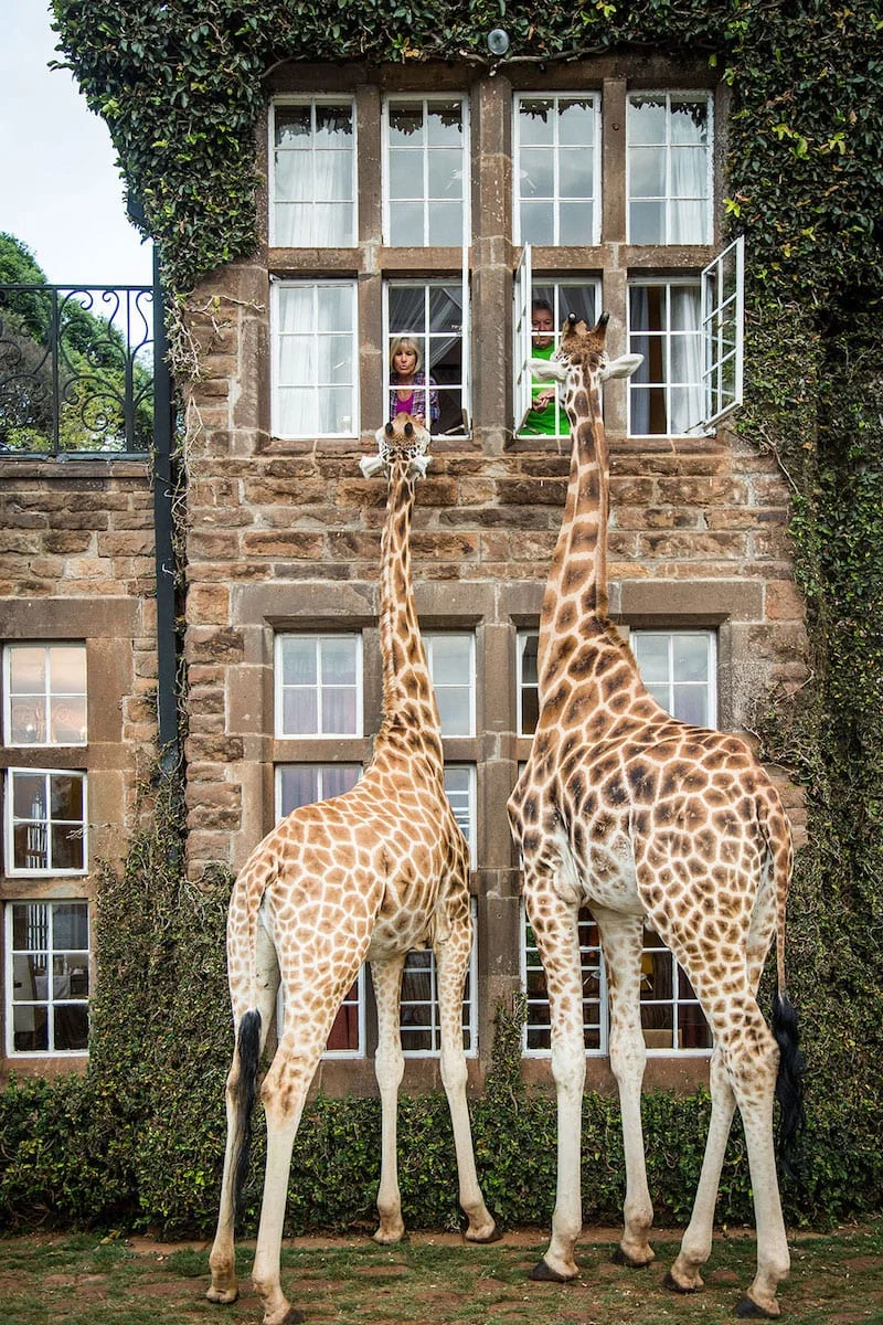 Giraffe Manor Kenya