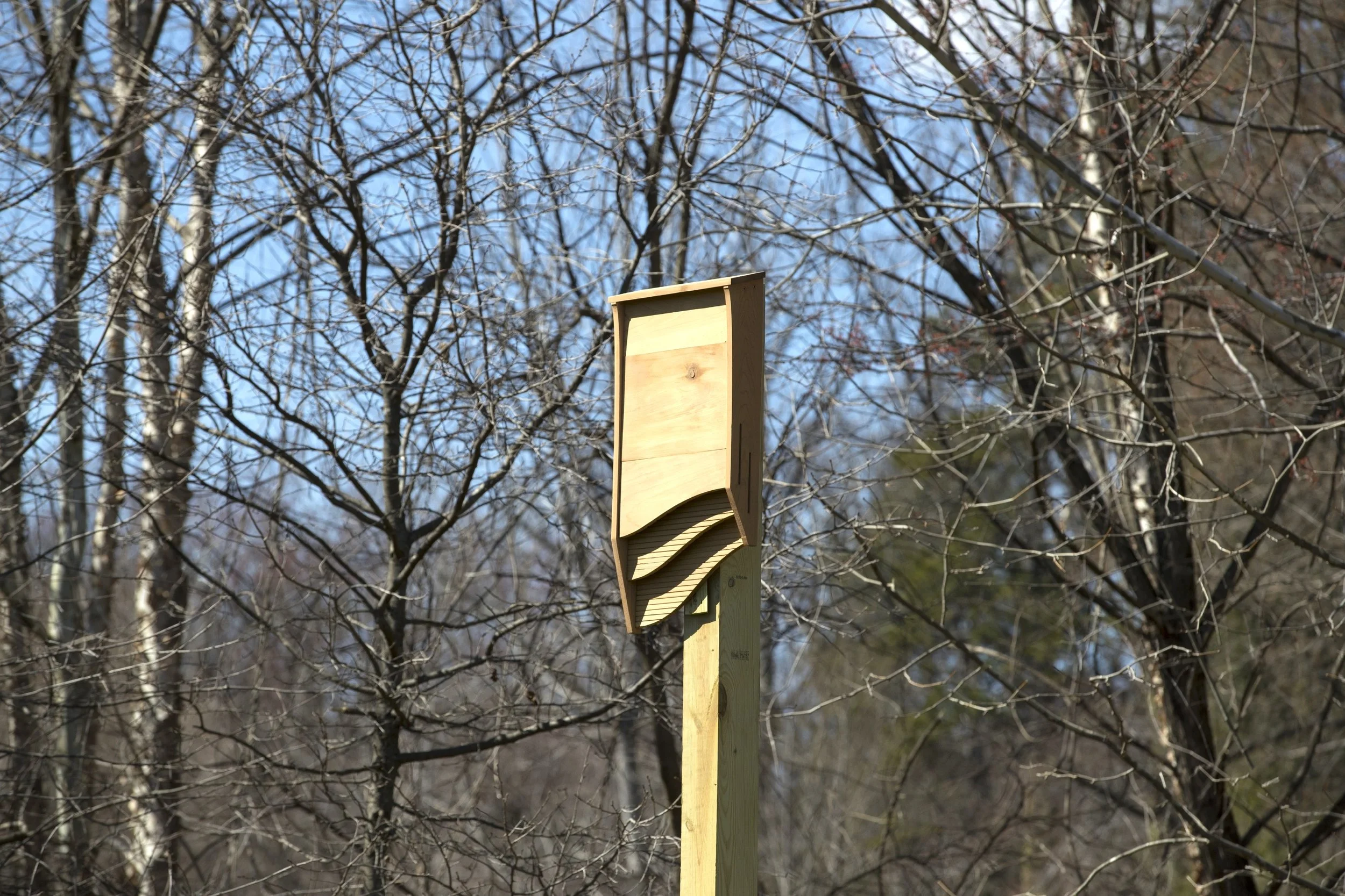Bat_Boxes_02HR_DA.jpg