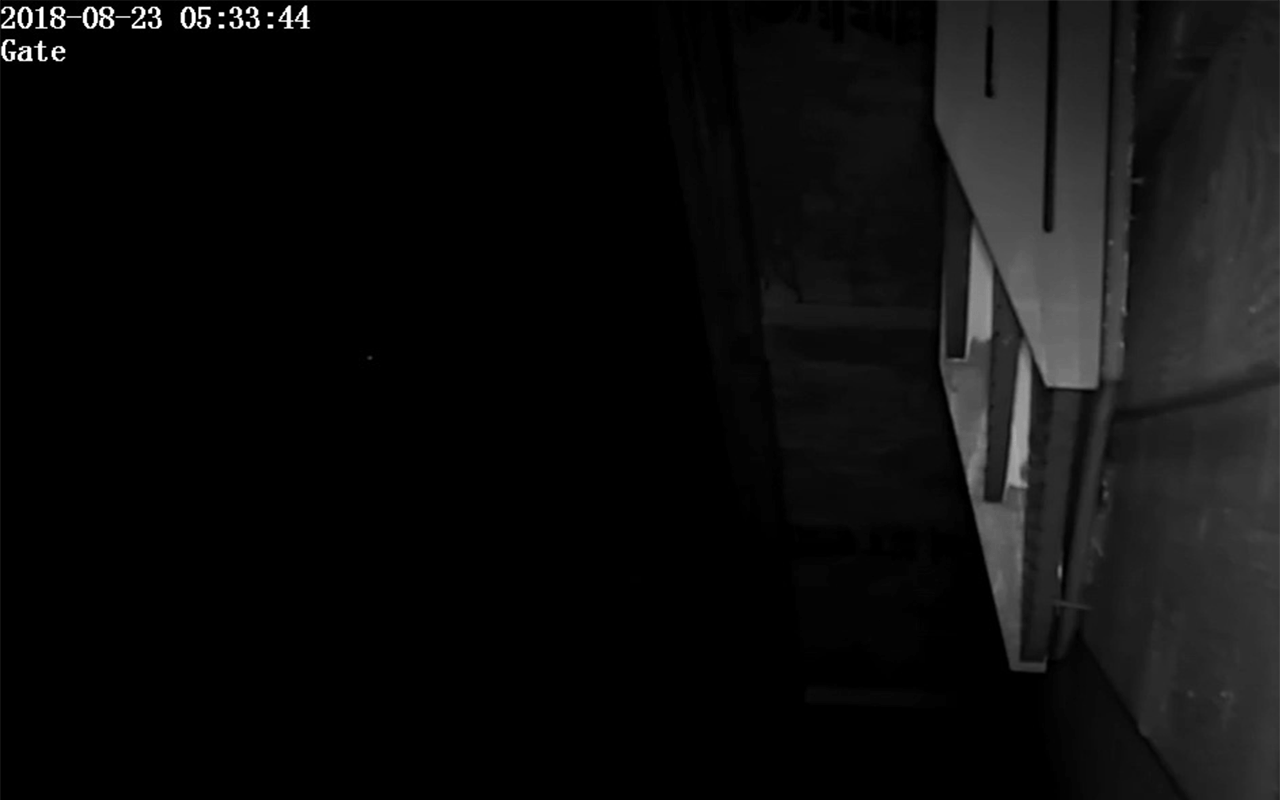 Reeves-GIF02.gif