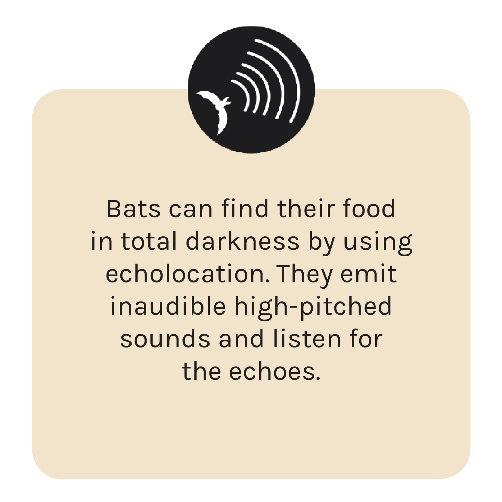 facts-ph-05.png