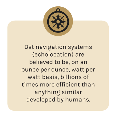 fact-nav.png