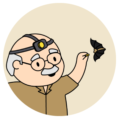 merlin-icon.png