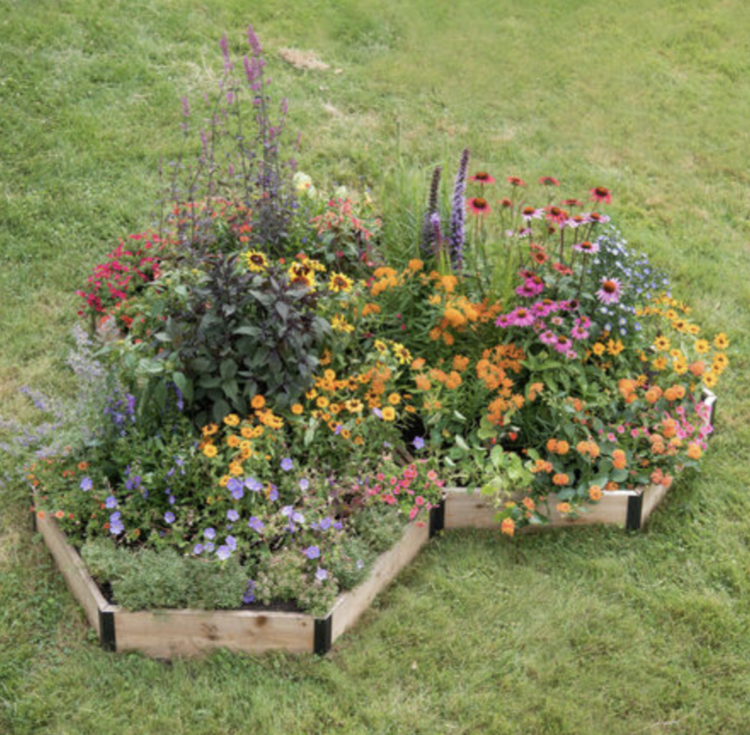 (Pictured: Hexagonal Raised Pollinator Garden Beds from Gardener’s Supply Co)
