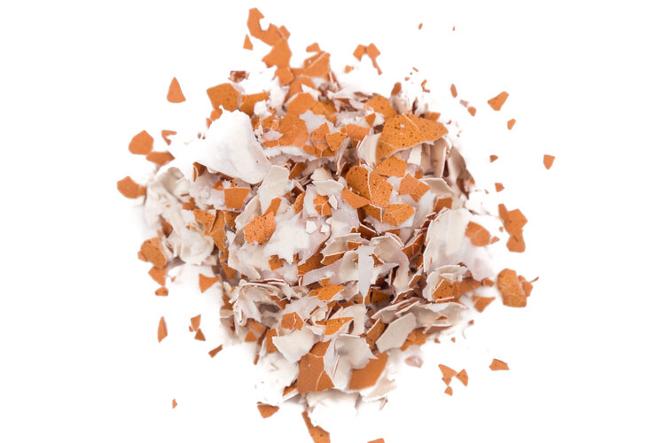 pile-of-crushed-egg-shell-on-white-background-PVT3PRE.JPG