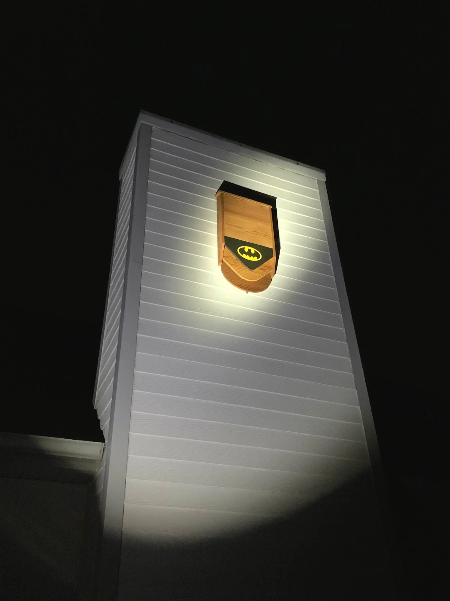 Painting your Bat House: A Complete Guide — BatBnB