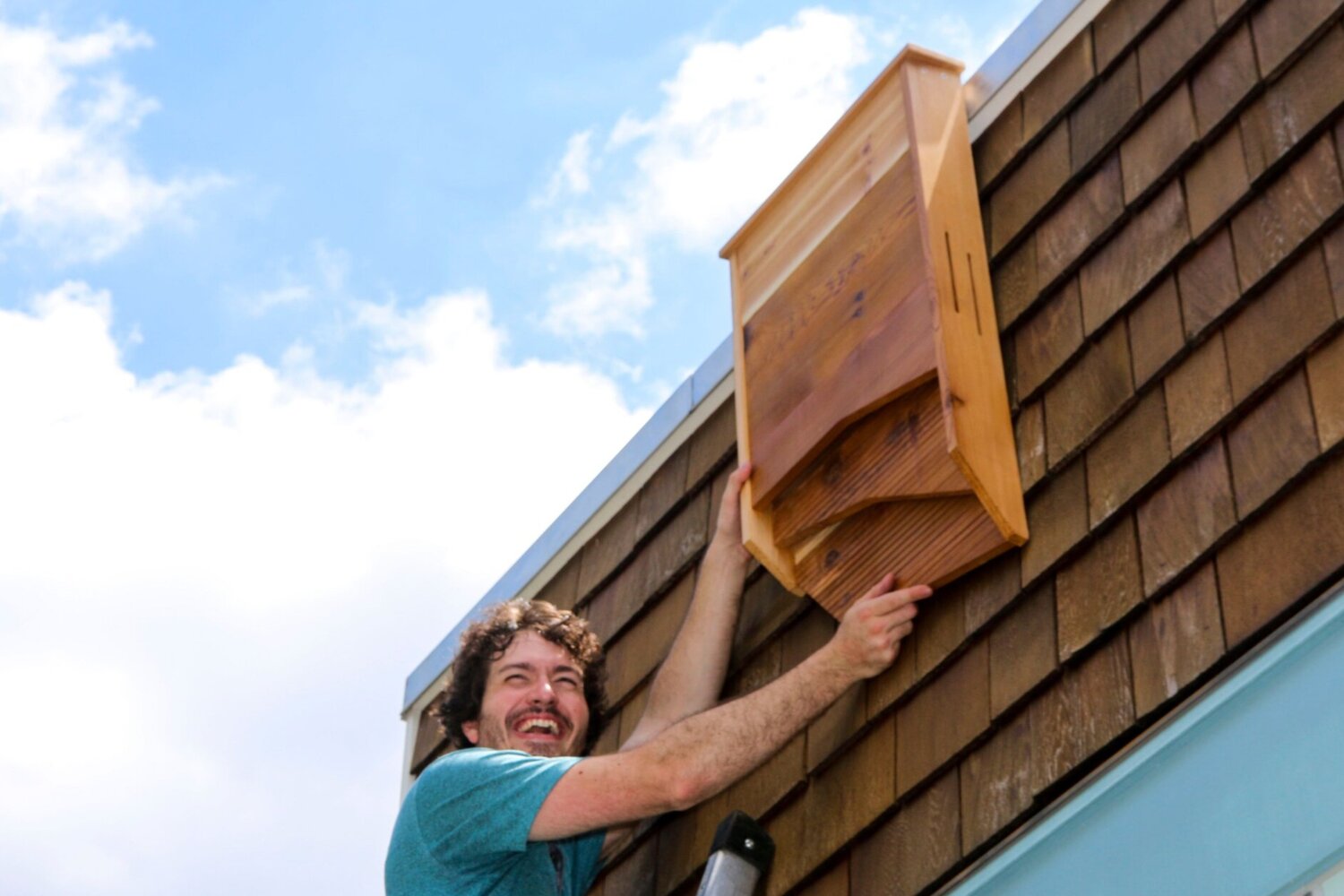 BatBnB Co-Founder, Harrison Broadhurst, installing a dual-chamber bat house
