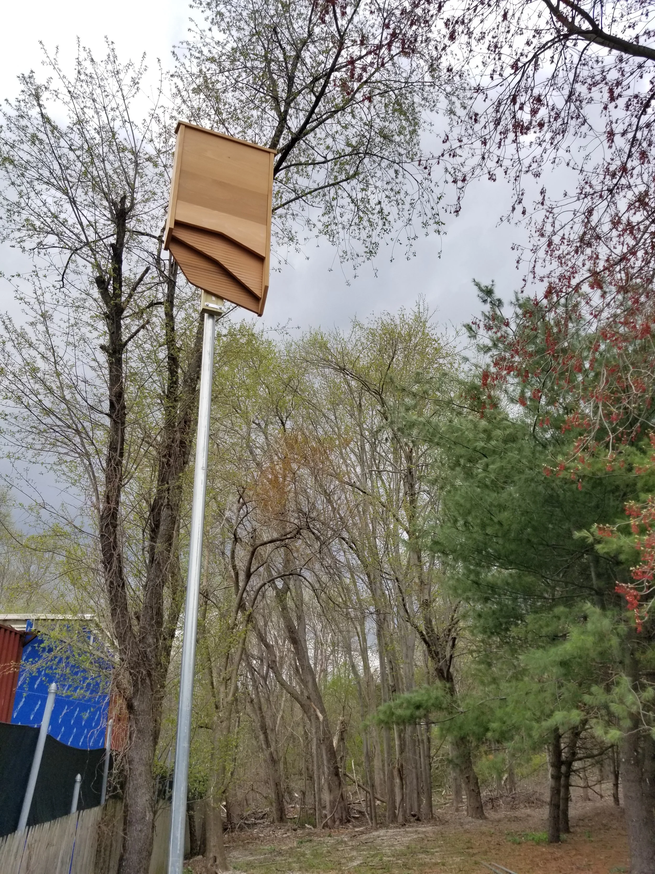 Bat House on a Stick!.jpg