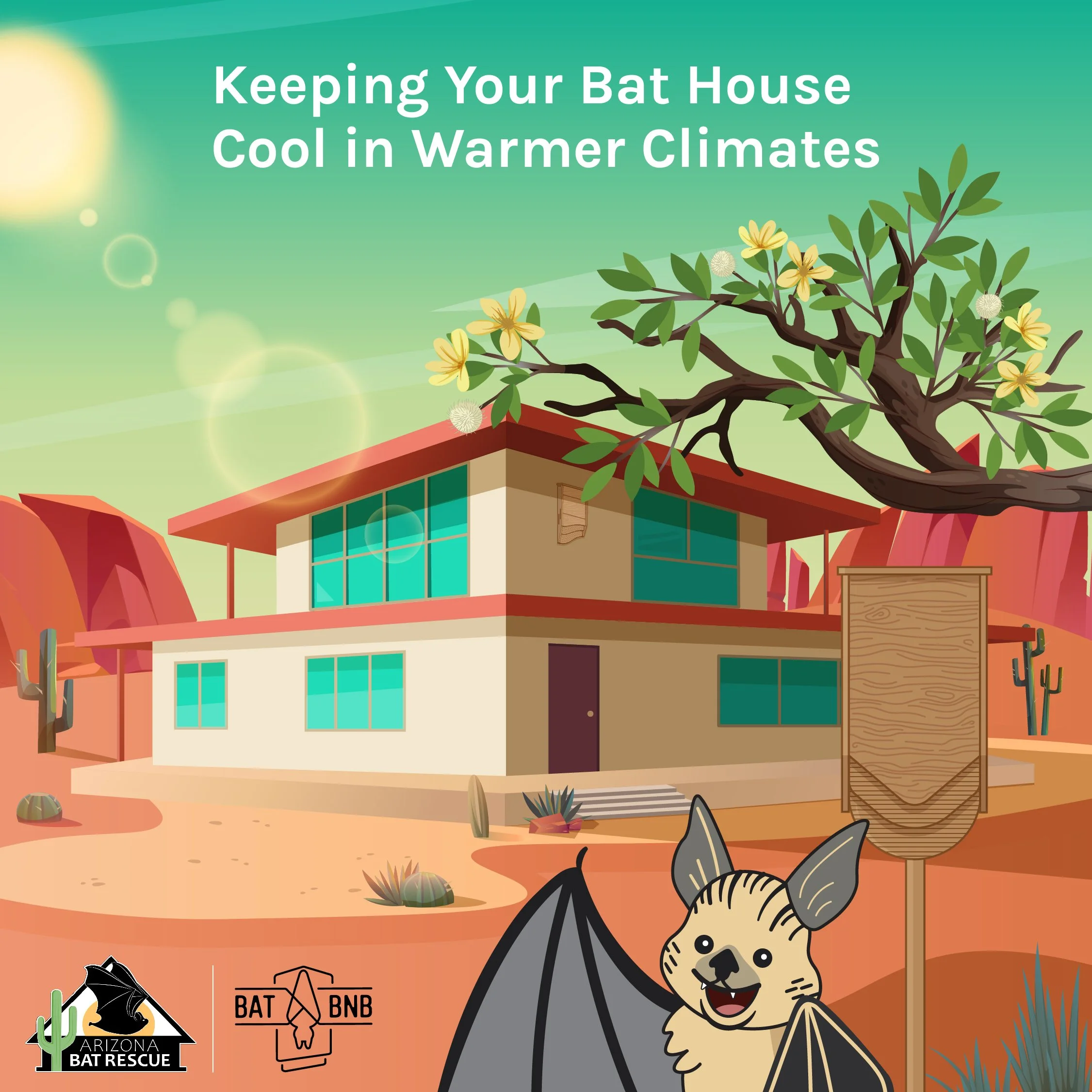 Keeping Your Bat House Cool in Warmer Climates — BatBnB