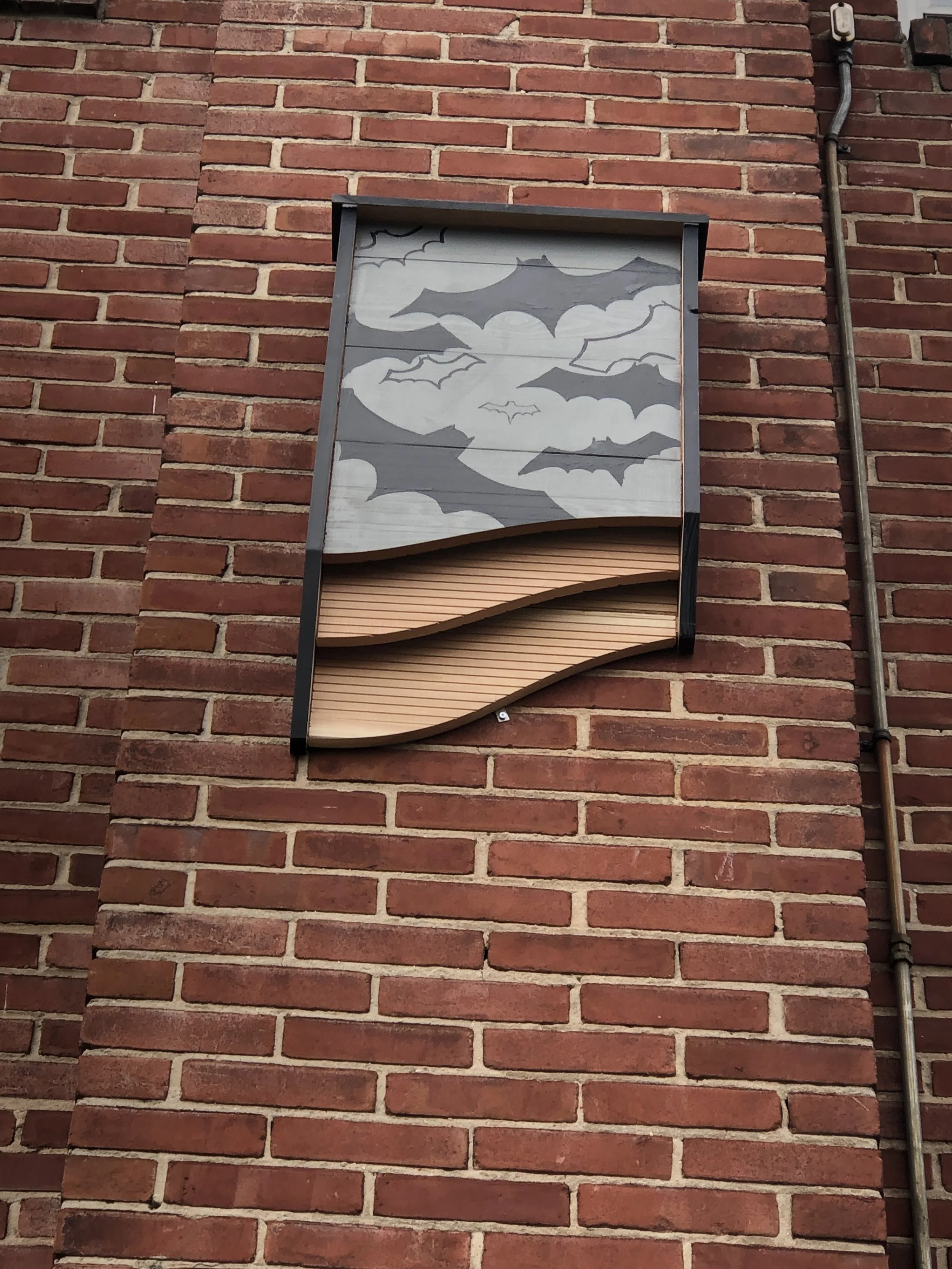 Chris Pluemer - B96EB9EA-1A42-41A1-922C-4034A66BF7AF.jpeg