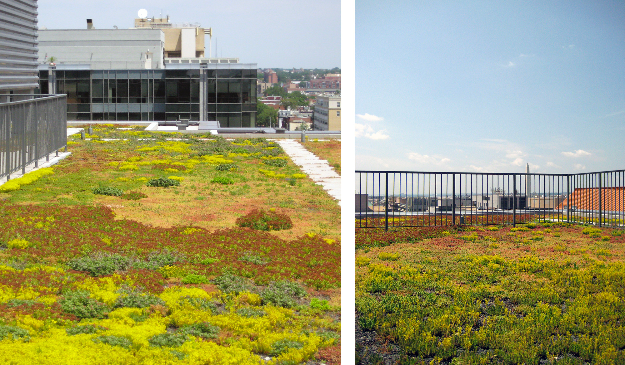 Riversmart Rooftops Green Roof Rebate Program