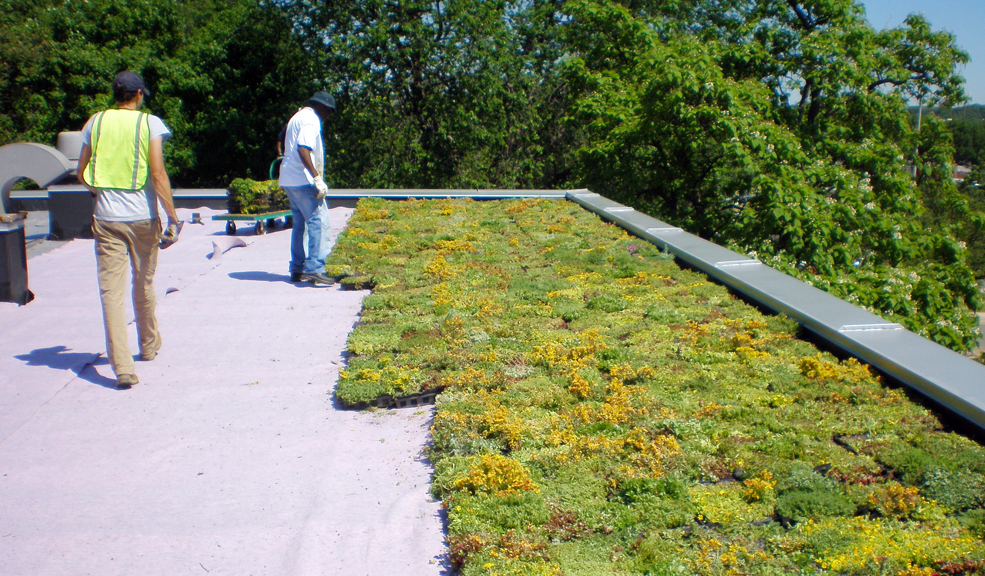 Green Roof Rebate Program