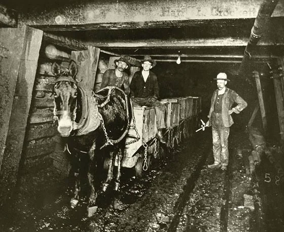 miners and mule.jpg