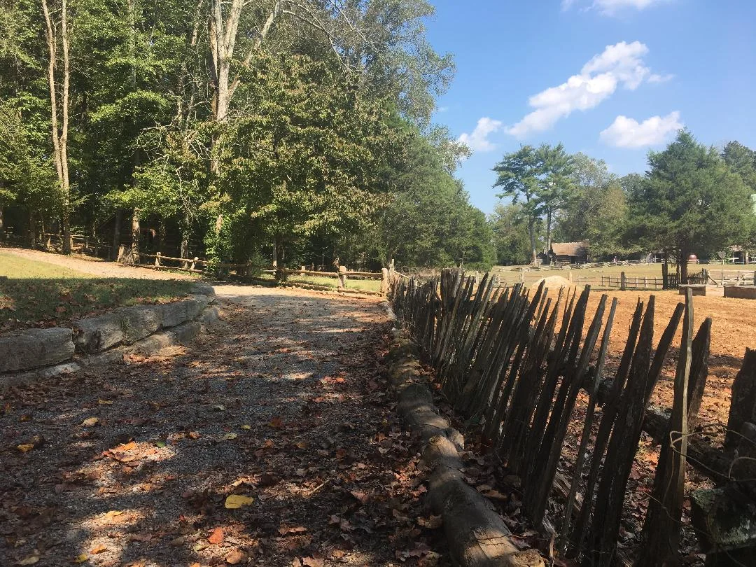 fence.jpg