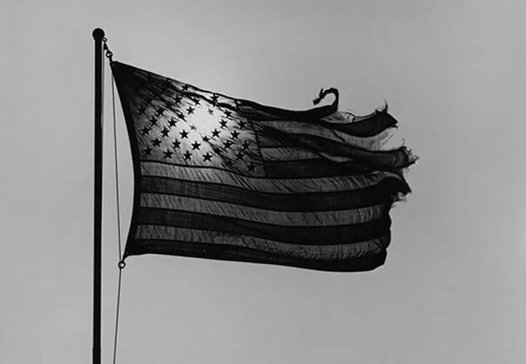 mapplethorpe flag.jpg