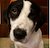 MAVISTINY.png