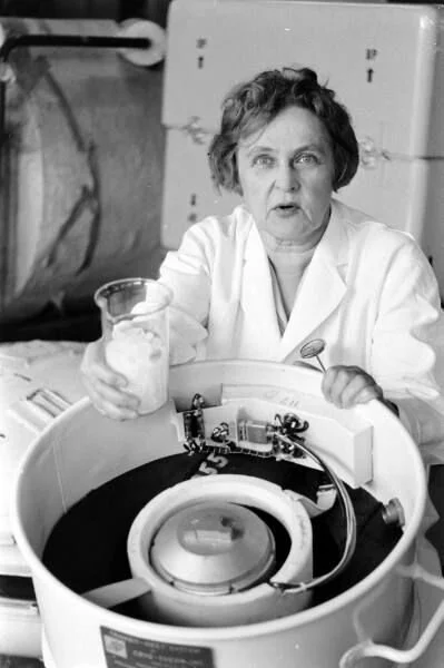 HERE COME THE SUN QUEEN