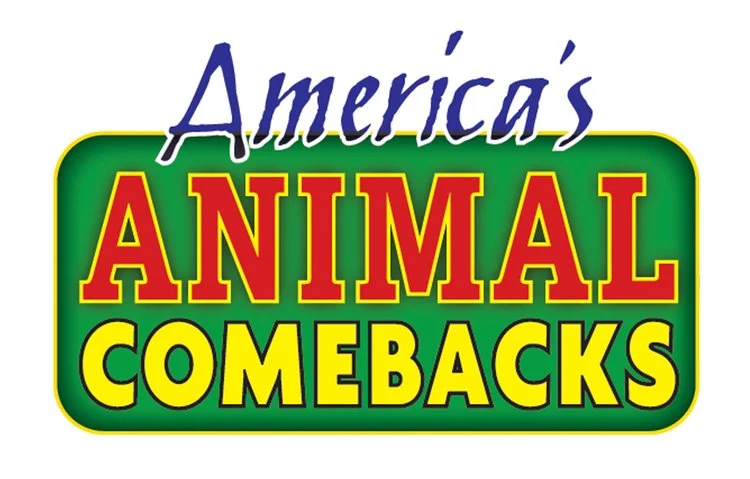 SIX ANIMAL COMEBACKS