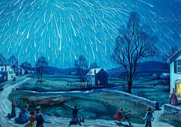 THE NIGHT THE STARS FELL