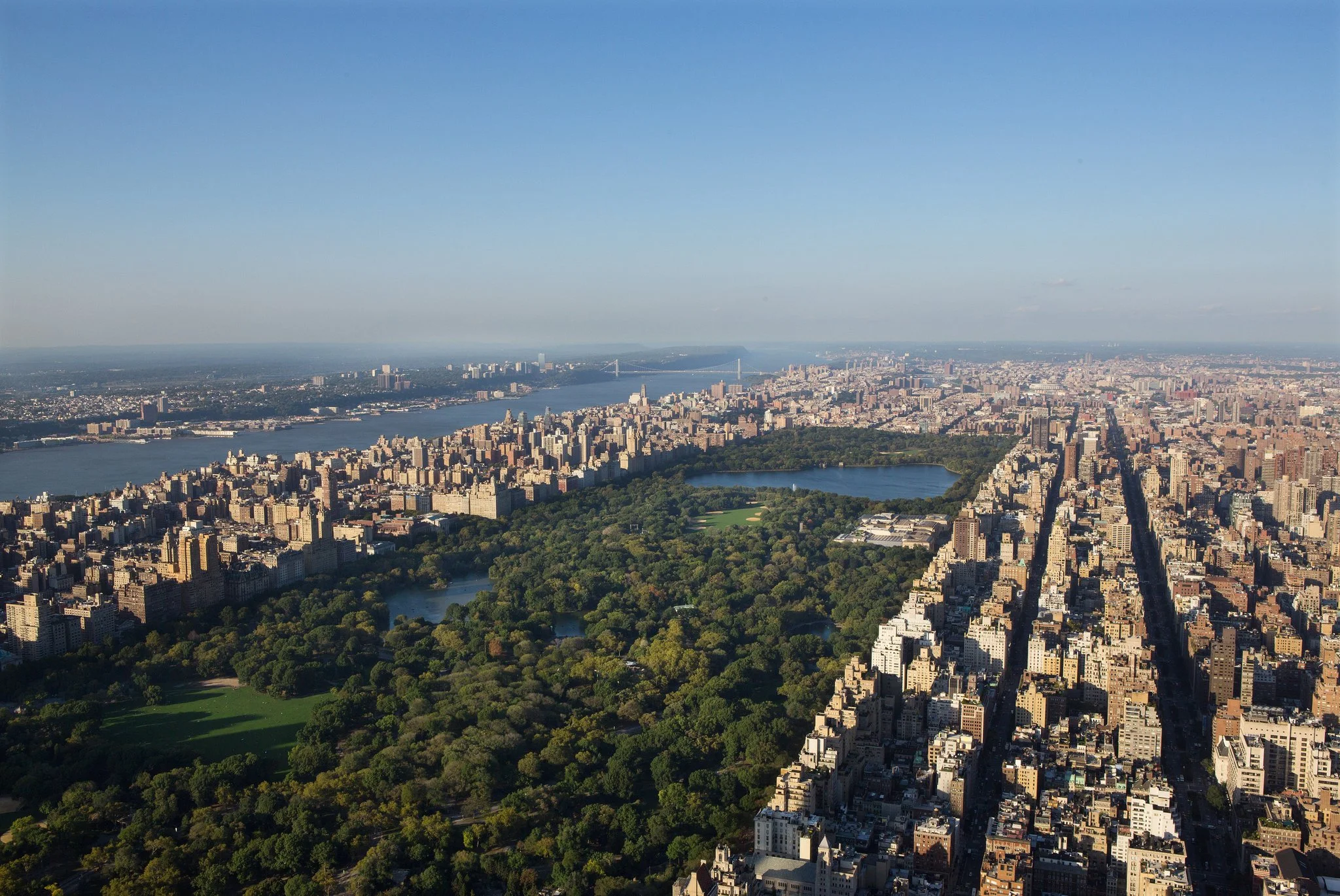 THE MAN WHO GREENED AMERICA