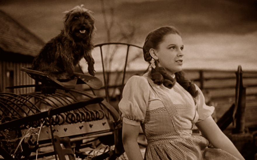 THE WONDERFUL WORDSMITH OF OZ