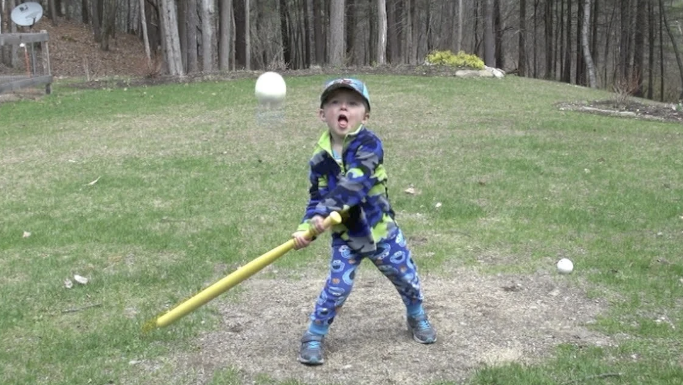 OUR BACKYARD NATIONAL PASTIME