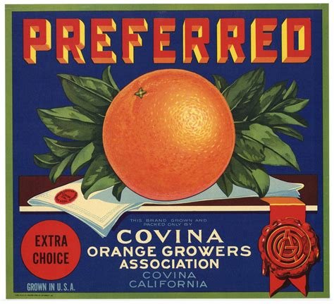 CITRUS COOL