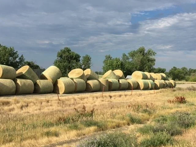 haybales.jpeg