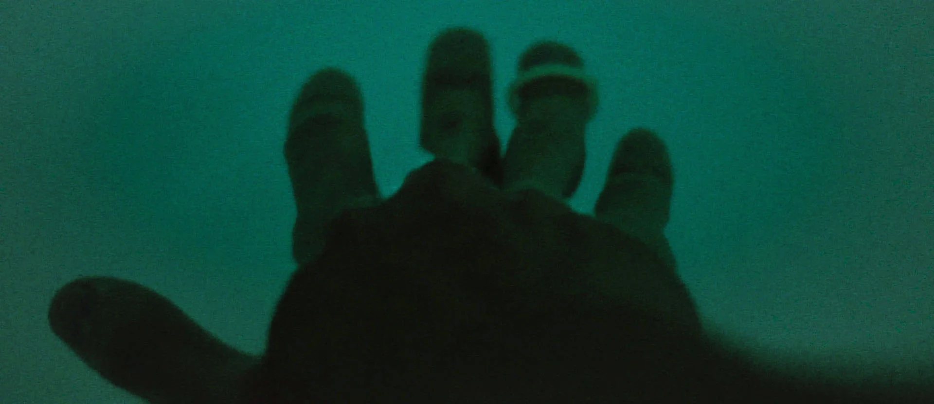 The Disposable Ring.jpg