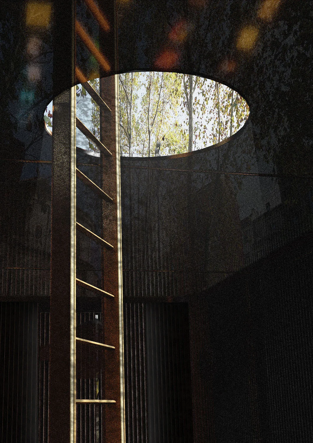 lookingup.jpg