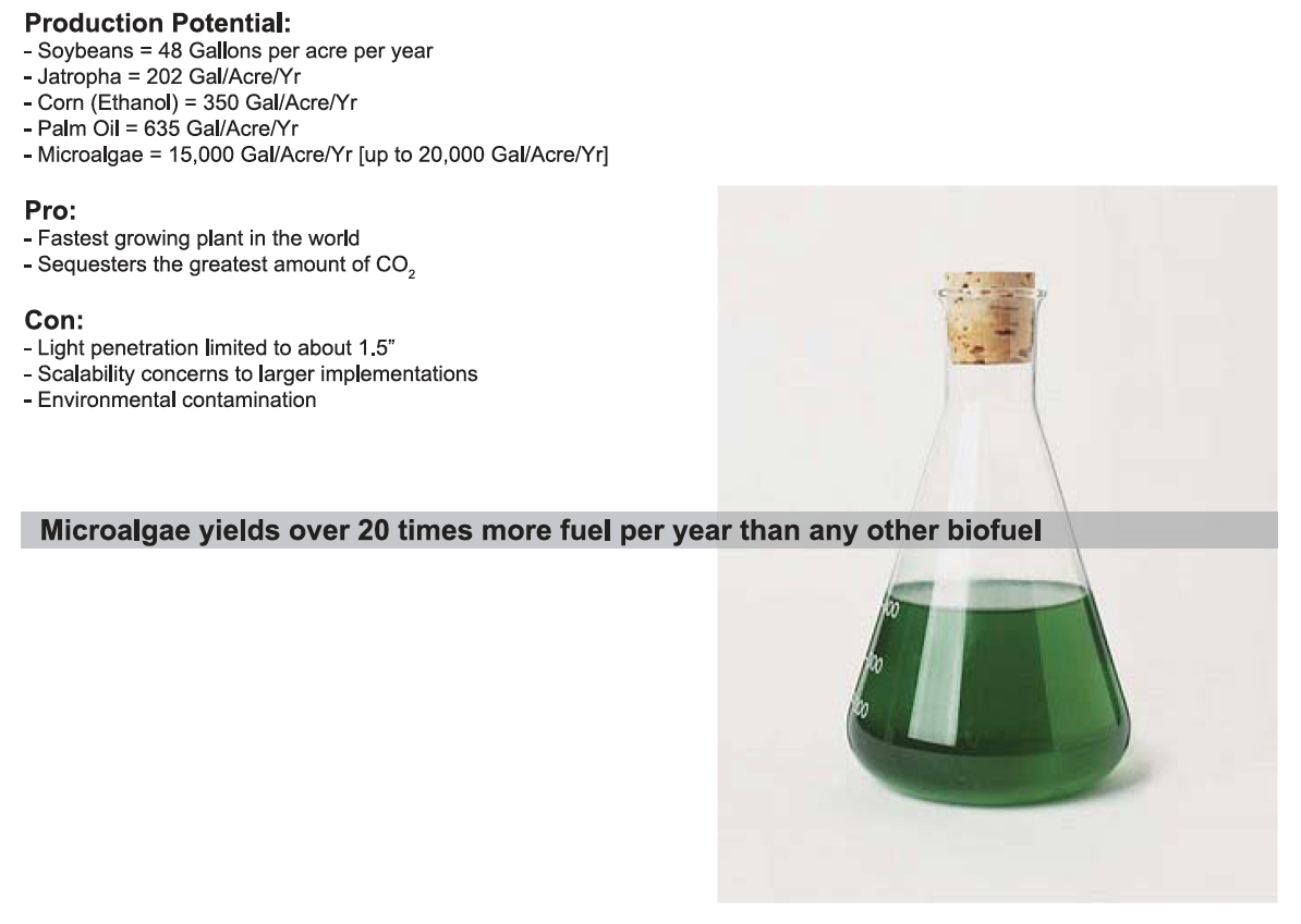 Microalgae is fed into the system, and then using natural light and a gravity-fed system, grows.