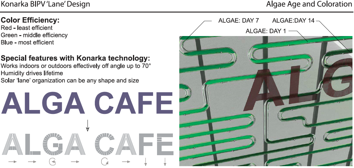 Excess algae is also used in drinks to sustain the customers energy needs.