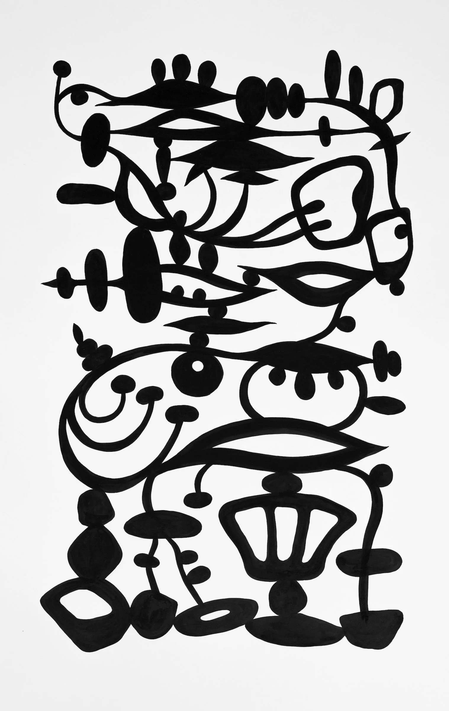 Cambrian (medium size jpeg).jpeg