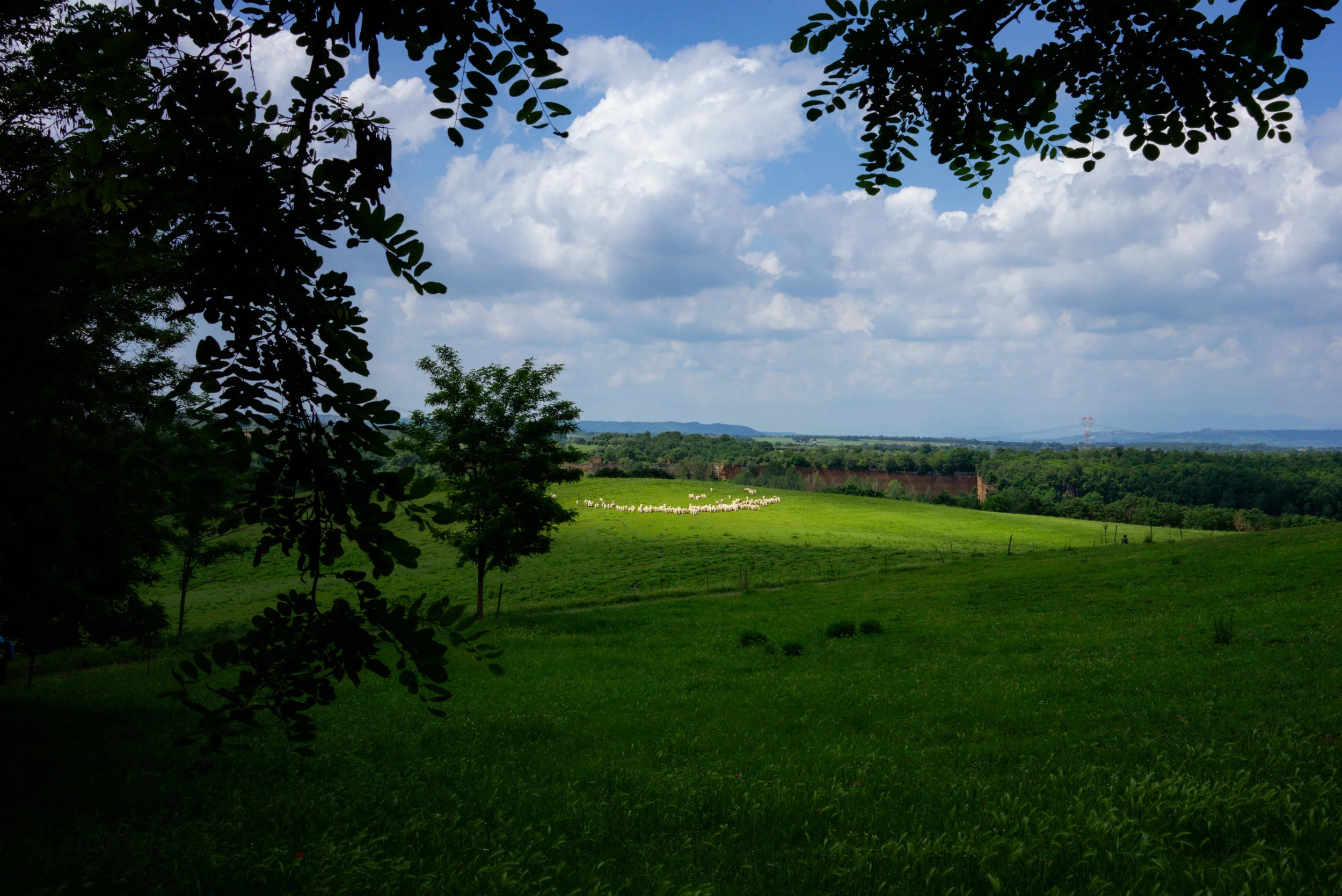 Shepherds_012.jpg