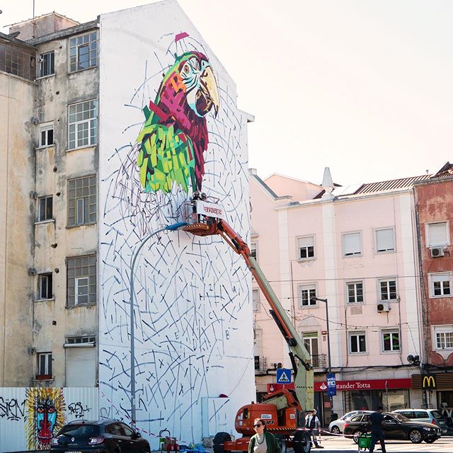 Work in progress in Lisbon

Thank you to the team at @havaianas @havaianaseurope for bringing me over to Lisbon to share the the story about Brazilian biodiversity. This macaw is one of the 3 designs I created for their limited edition collection of 