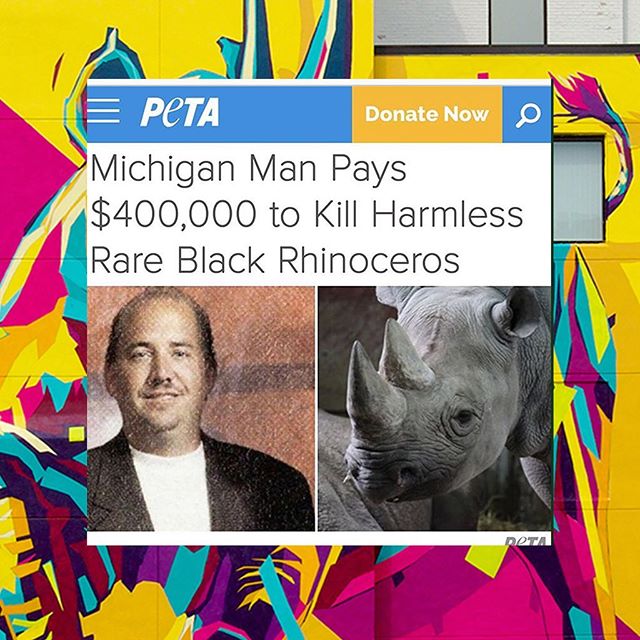 😡ANIMALS ARE NOT TROPHIES! 😡

I can't even really describe how frustrating it is to have had an incredible experience painting this black rhino in Michigan last week and to then find out that in the same state, some jerk who paid $400,000 USD to mu