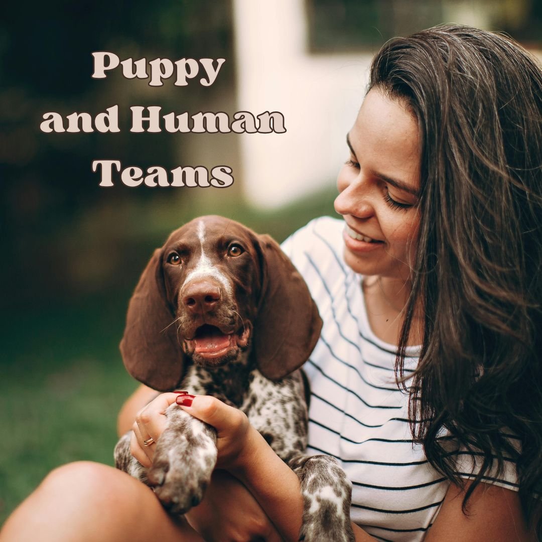 woman holding floppy ear puppy