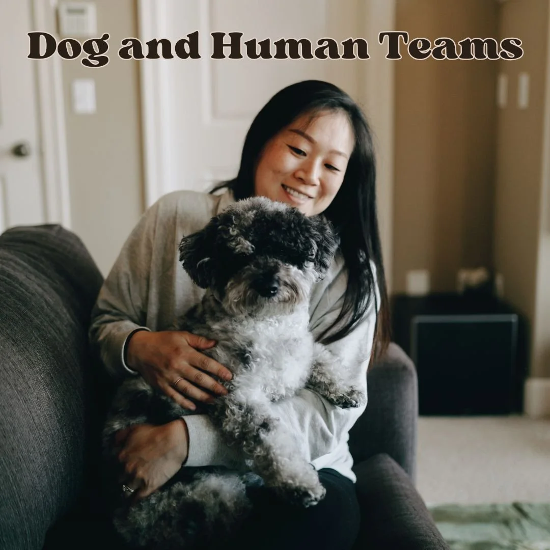 Smiling woman holding dog on lap