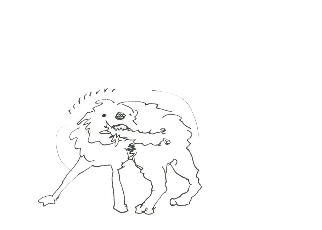 rrrrr.jpg