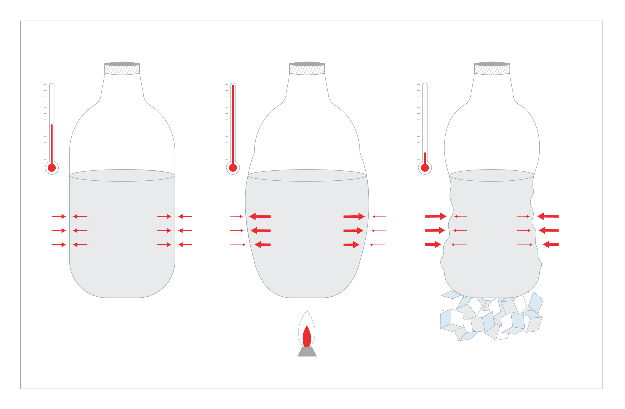 FPhys-004-V2.png