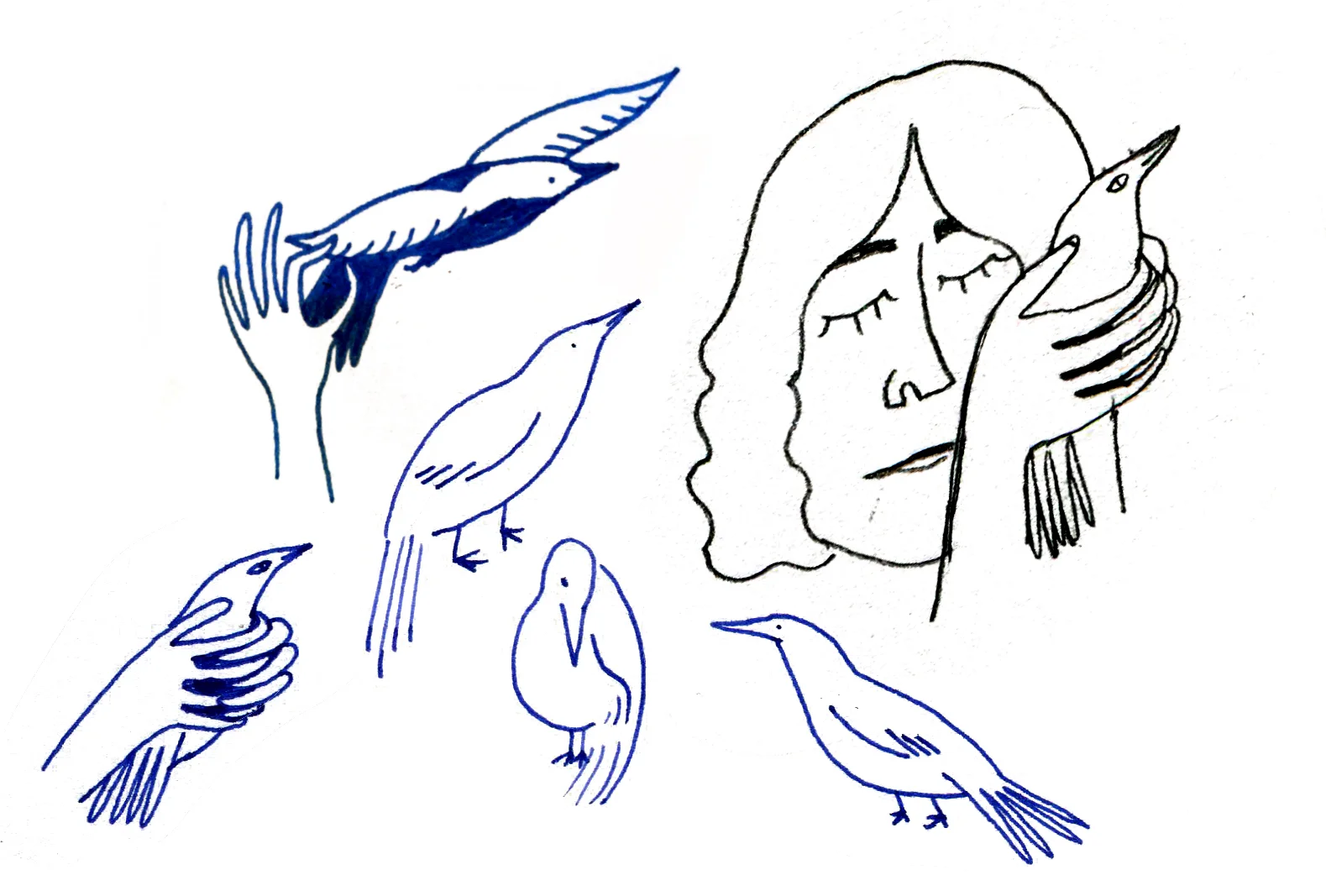 just bird things.jpg