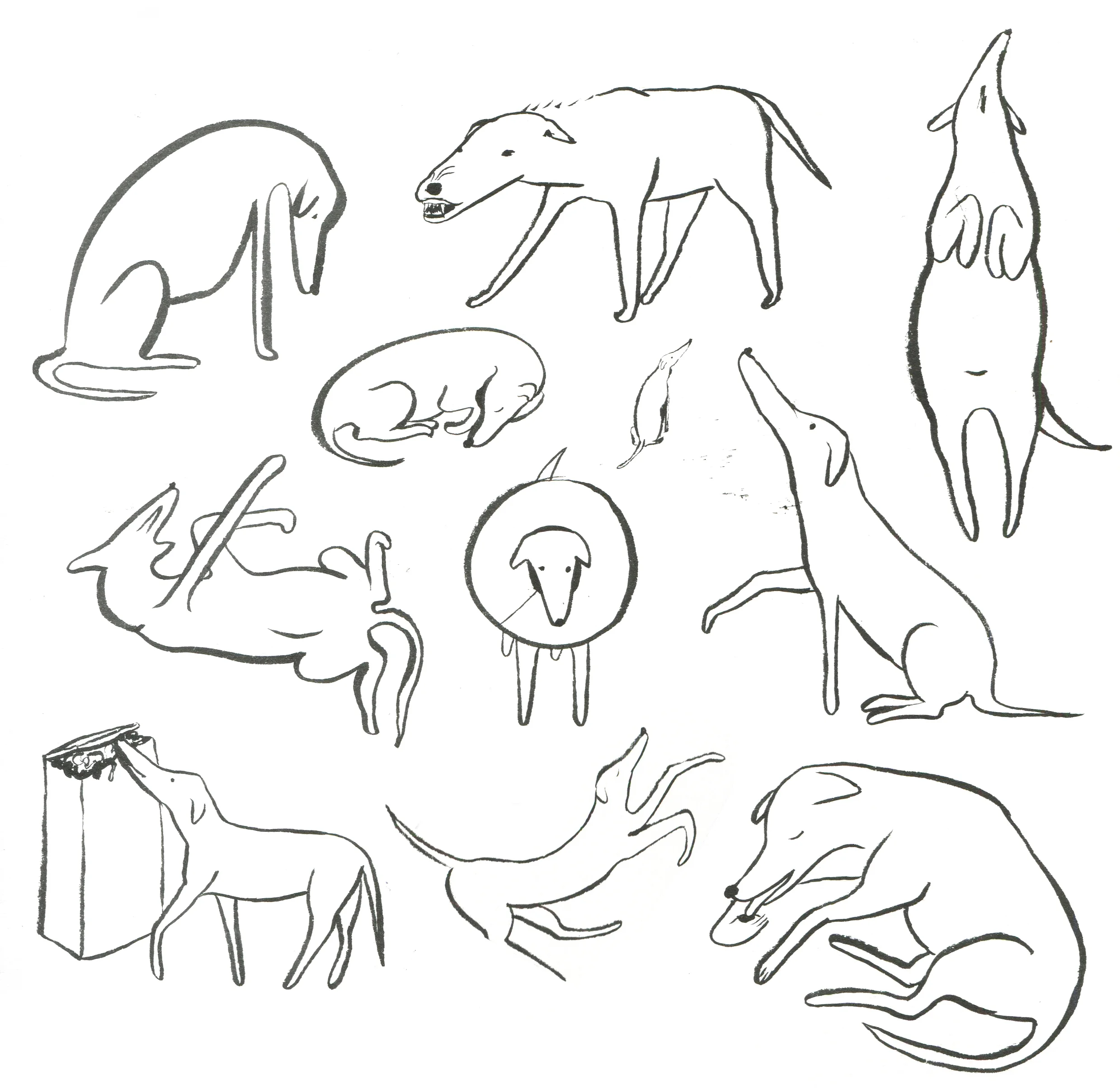 ink doggies.jpg