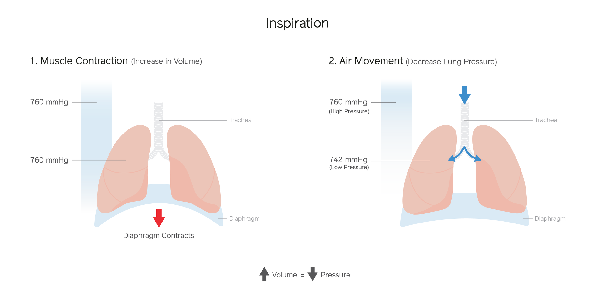 Inspiration001-V1.png